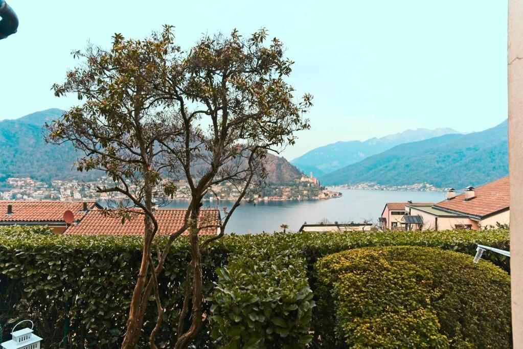 Appartement Miralago Lugano Sporting Club à Cuasso Al Monte Extérieur photo